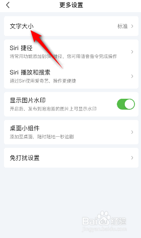 爱奇艺怎么修改文字大小