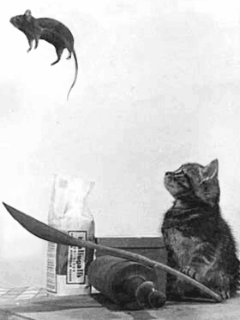 网络骗子行骗的方法