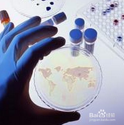 细菌和真菌培养的一般方法