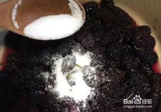 新鲜桑葚需要清洗吗