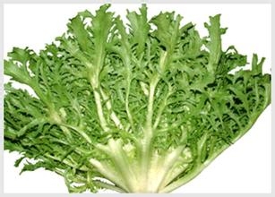 肝癌病人吃什么最好？