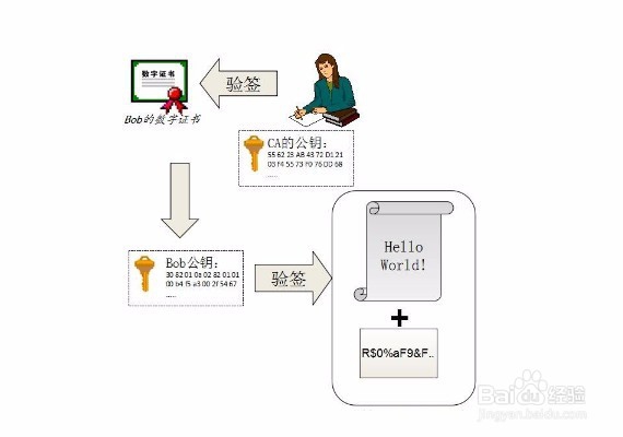 深圳注册公司时的数字证书是什么怎么办理