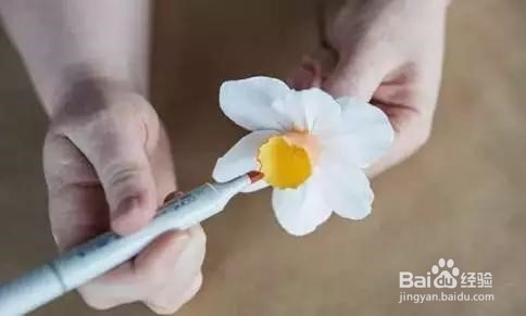 如何制作漂亮的水仙花