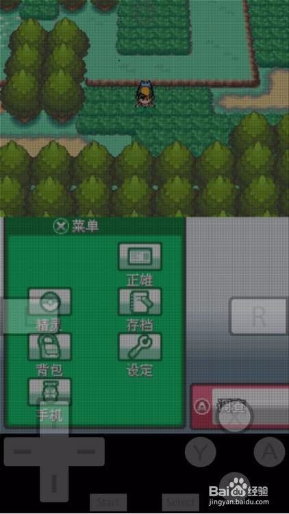 nds4ios怎么导入rom