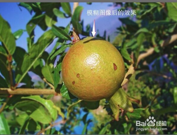 Photoshop CC使用模糊工具突出主体效果