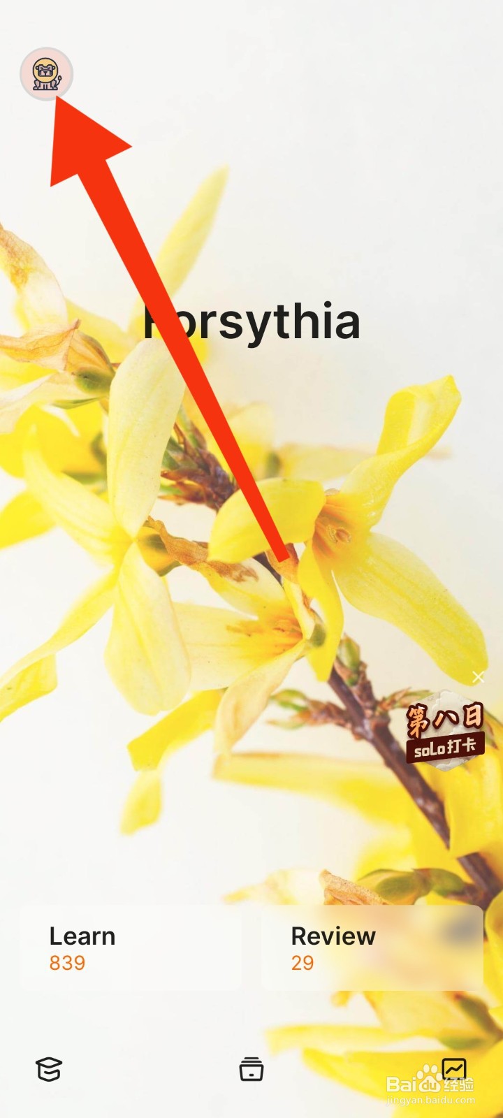 不背单词APP如何找回丢失的账号