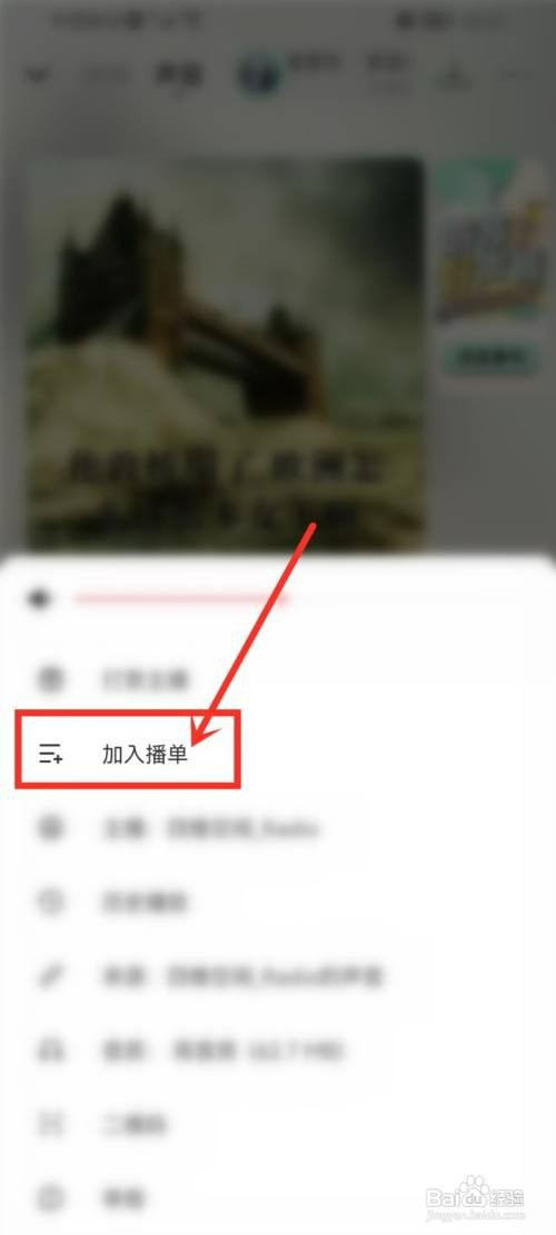 荔枝如何把音频放到播单里面