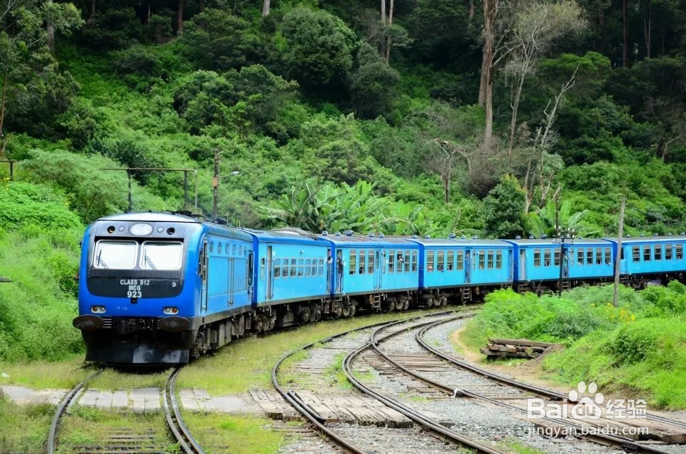 端午放假去哪玩好