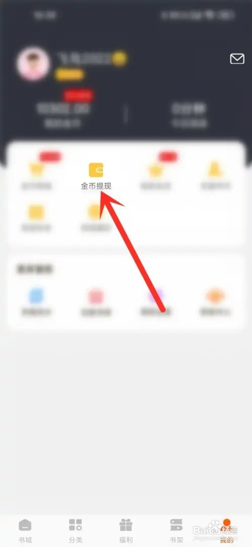 必阅免费小说金币记录在哪里查看