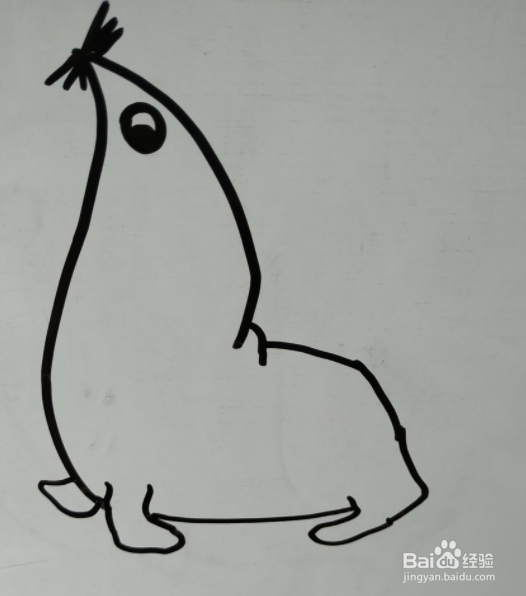 如何画海狮的儿童画？