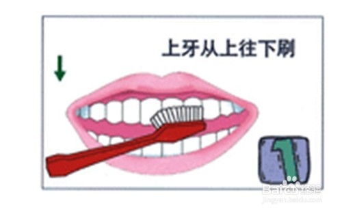 什么刷牙方式才是正确的如果以正确的姿势刷牙