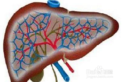 让你增强免疫力的几种食物：[2]