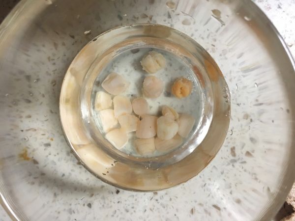 竹荪干贝排骨汤