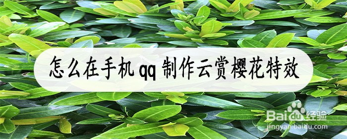 怎么制作云赏樱花特效视频