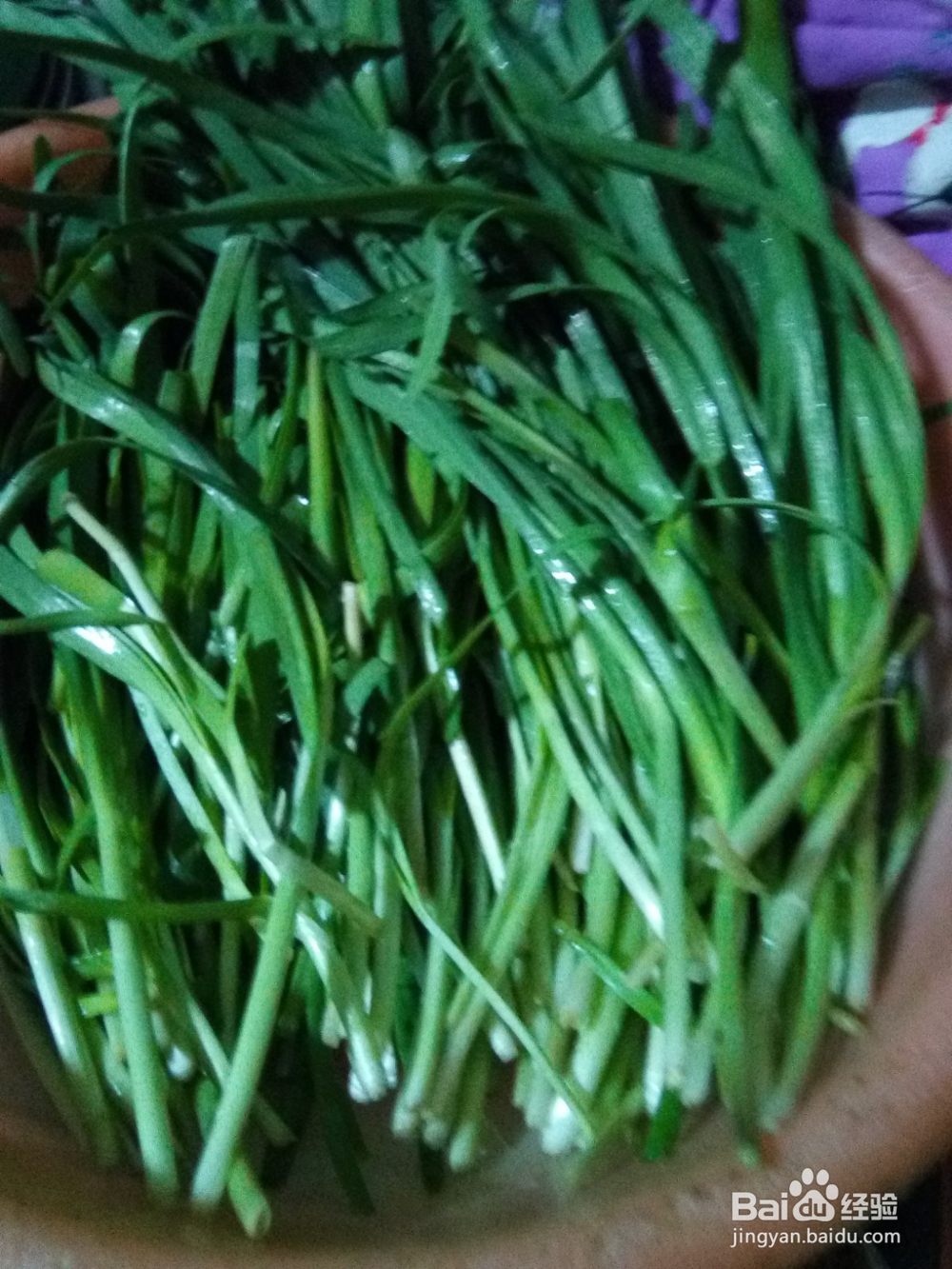 家常炒菜鸡蛋炒韭菜