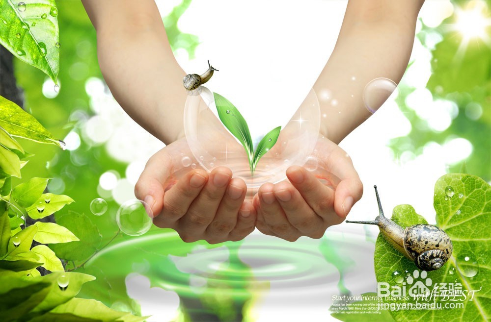 初二男孩子逆返期怎样教?