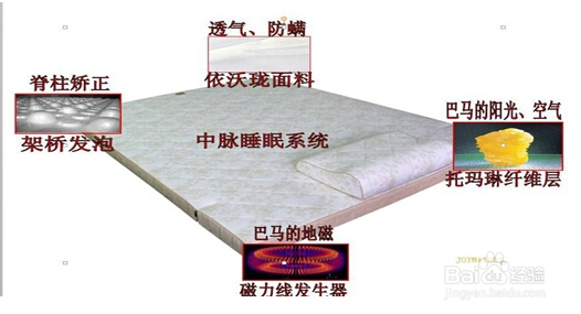 正品中脉床垫选择技巧解析