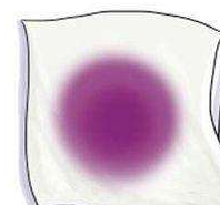 怎样鉴别红酒的真假