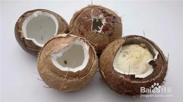 哪些人群适宜食用椰子