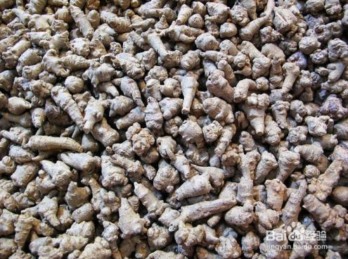 三七价格是多少钱