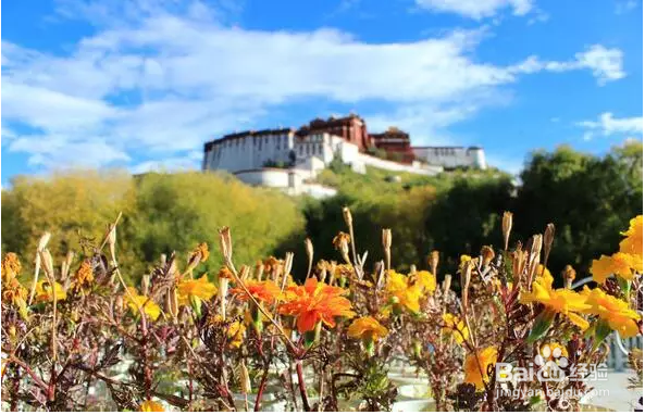 领略川藏线上的美丽风景