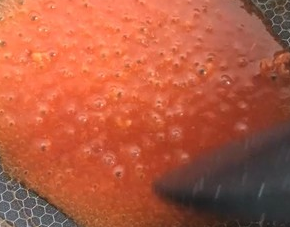 糖醋里脊（鸡肉版）