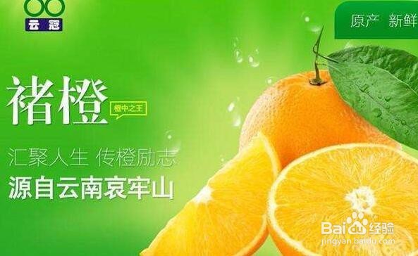 橙子哪个品种好吃