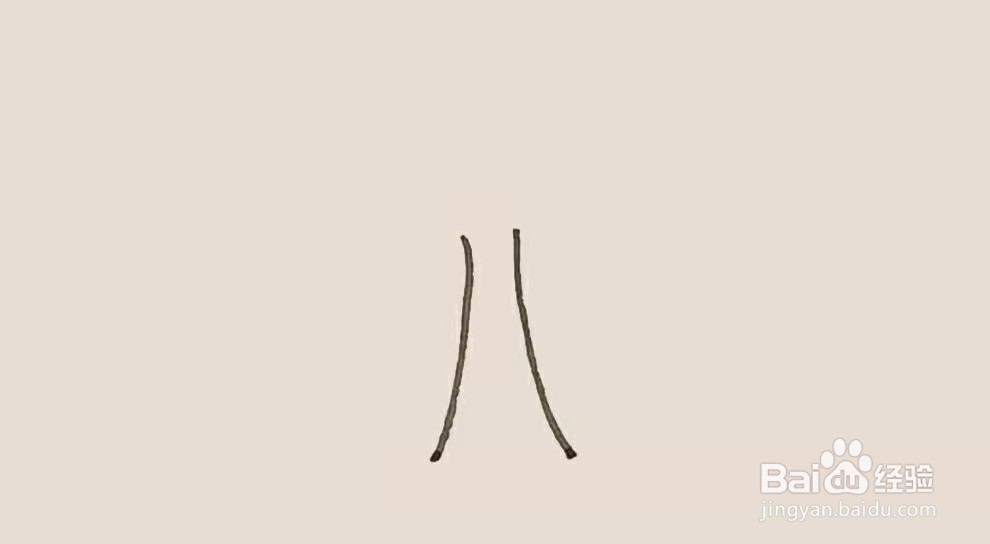 怎么画芭蕉树