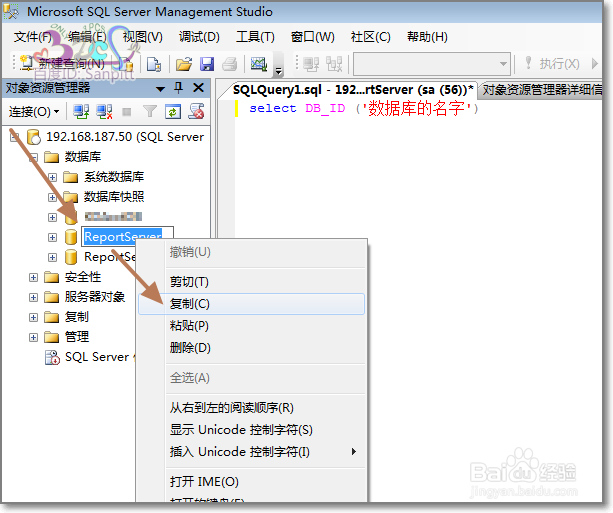 SQL怎么查询每个数据库的标识ID号