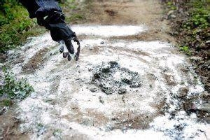 被蚂蚁咬过后如何处理