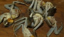 美味简单的香辣蟹