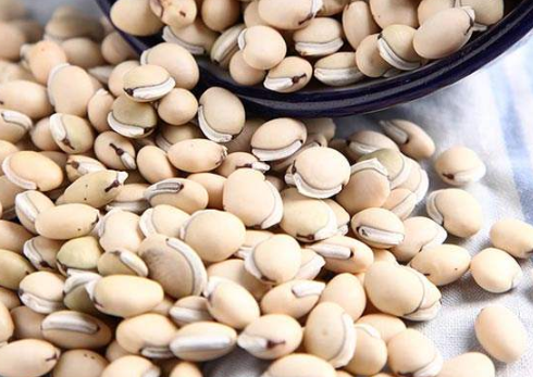 清利湿热作用的食物有哪些