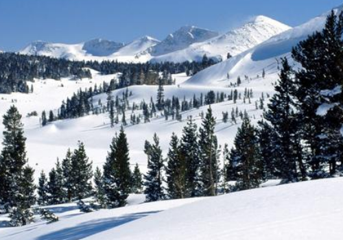 白雪,米白,奶白,雪白那个不是同一类