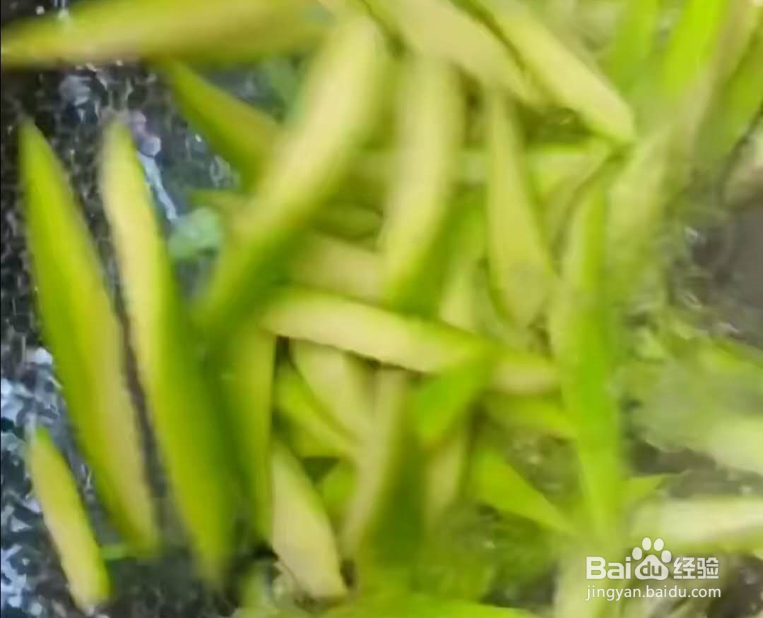 丝瓜炒鸡蛋如何做