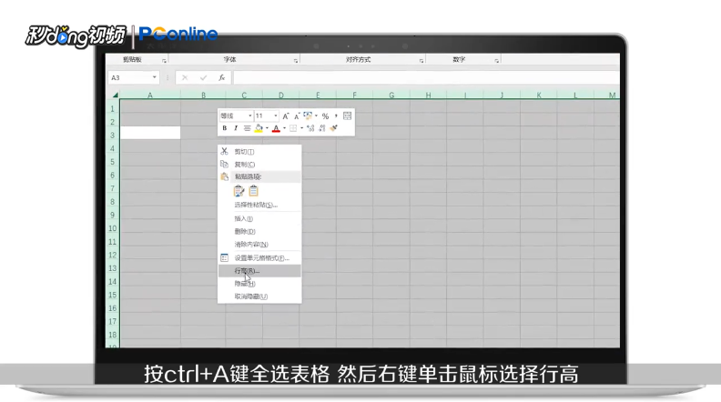怎样把excel表格放大