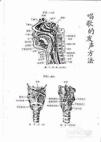 美声歌唱气息不稳定怎么训练