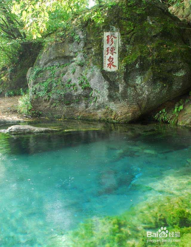 浦口有什么好玩的景点