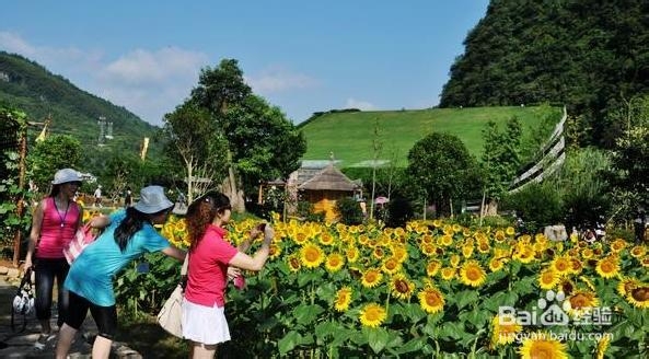 常德到张家界自助游