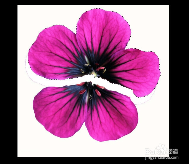 PS快速入门：[3]套索与魔棒