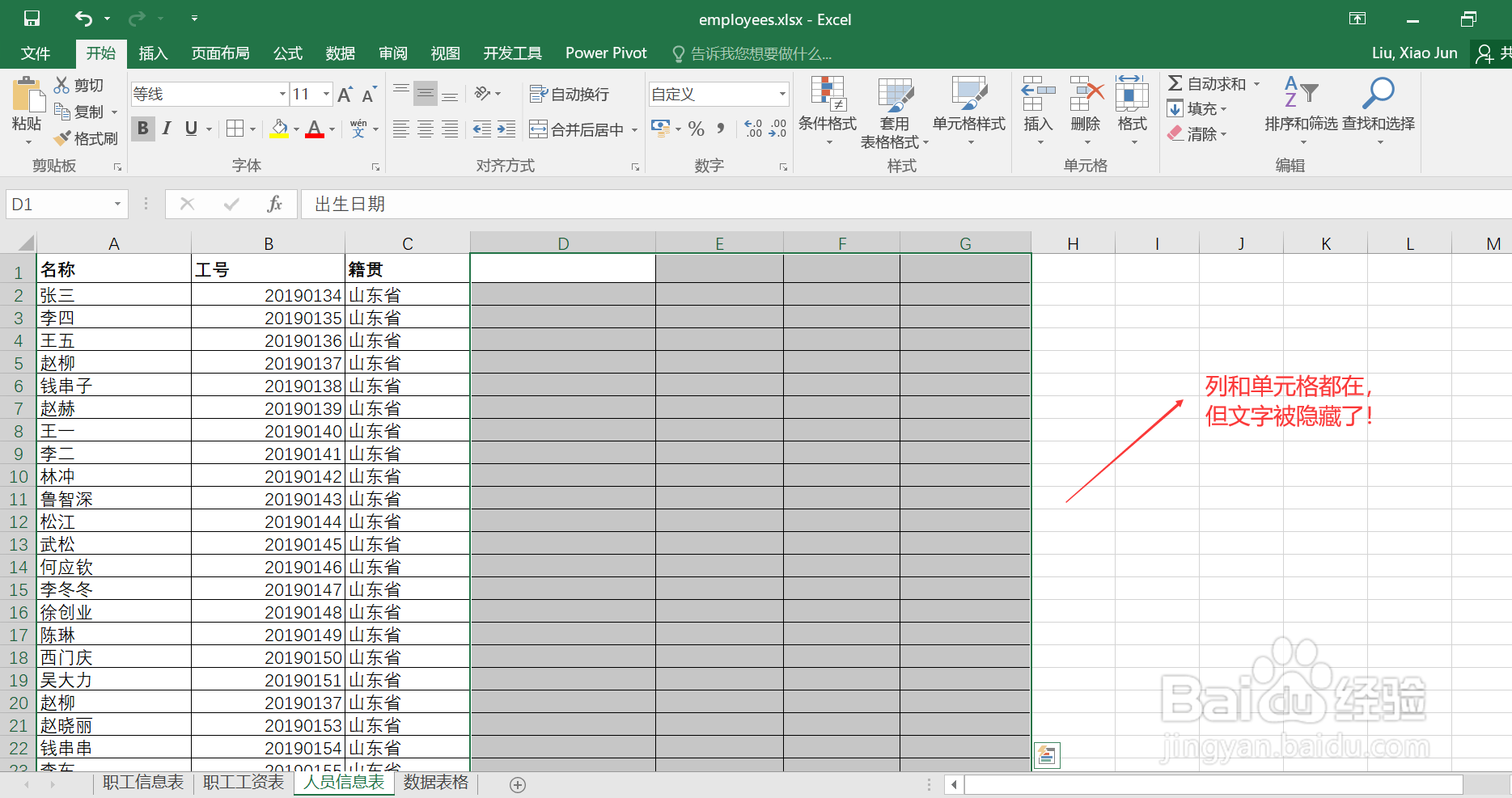 Excel使用技巧：如何快速隐藏单元格内容