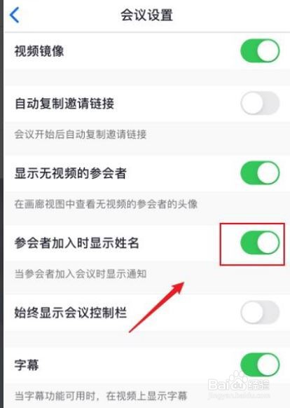 Zoom如何关闭名字显示
