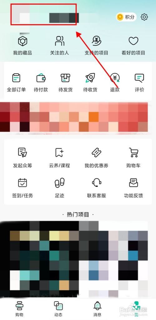 如何使用摩点APP创建动态合集？