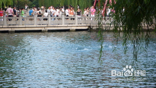 济南泉城广场与趵突泉旅游攻略