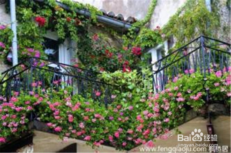 如何给盆花松土？