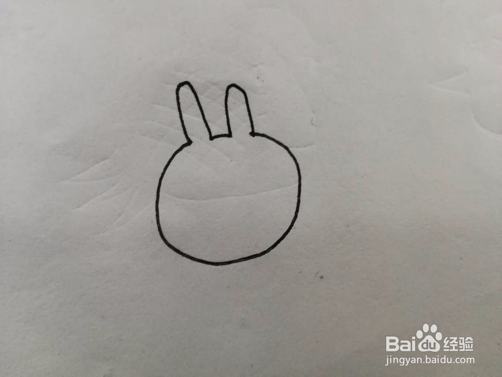 简笔画气疯了的兔子