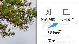 QQ文件的查看和文件管理设置如何操作