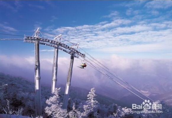 旅游攻略系列：[3]冬季韩国旅游攻略