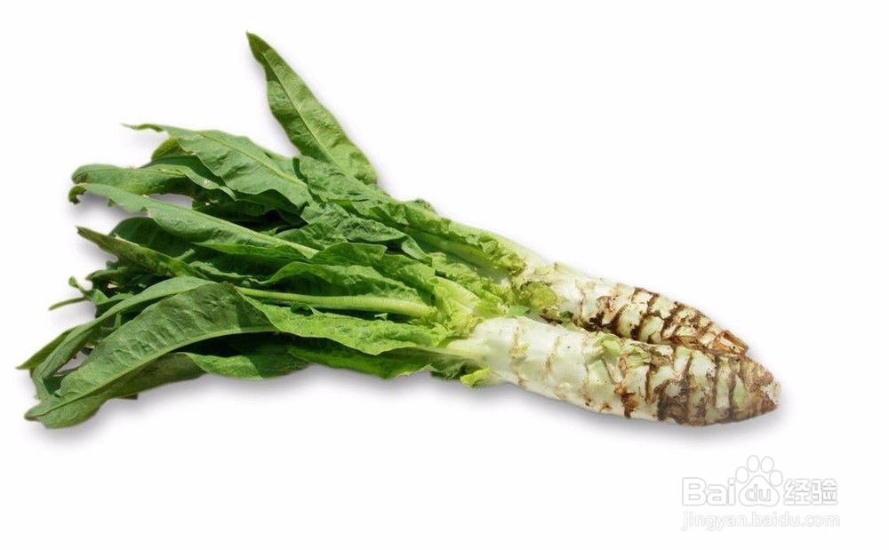 莴笋应该怎么吃？怎么挑选好的莴笋？