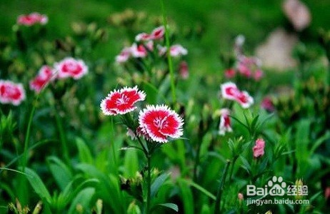 在上海,居住证有什么用及如何办理居住证