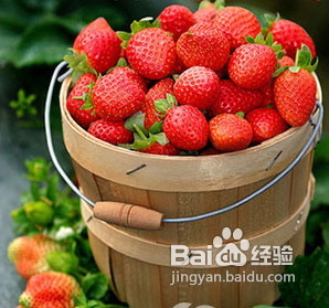 草莓代餐将减肥进行到底